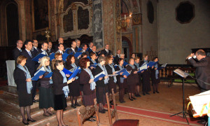 12-Concerto san Salvatore Pavia 17-11-13