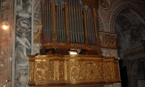 15-Concerto san Salvatore Pavia 17-11-13
